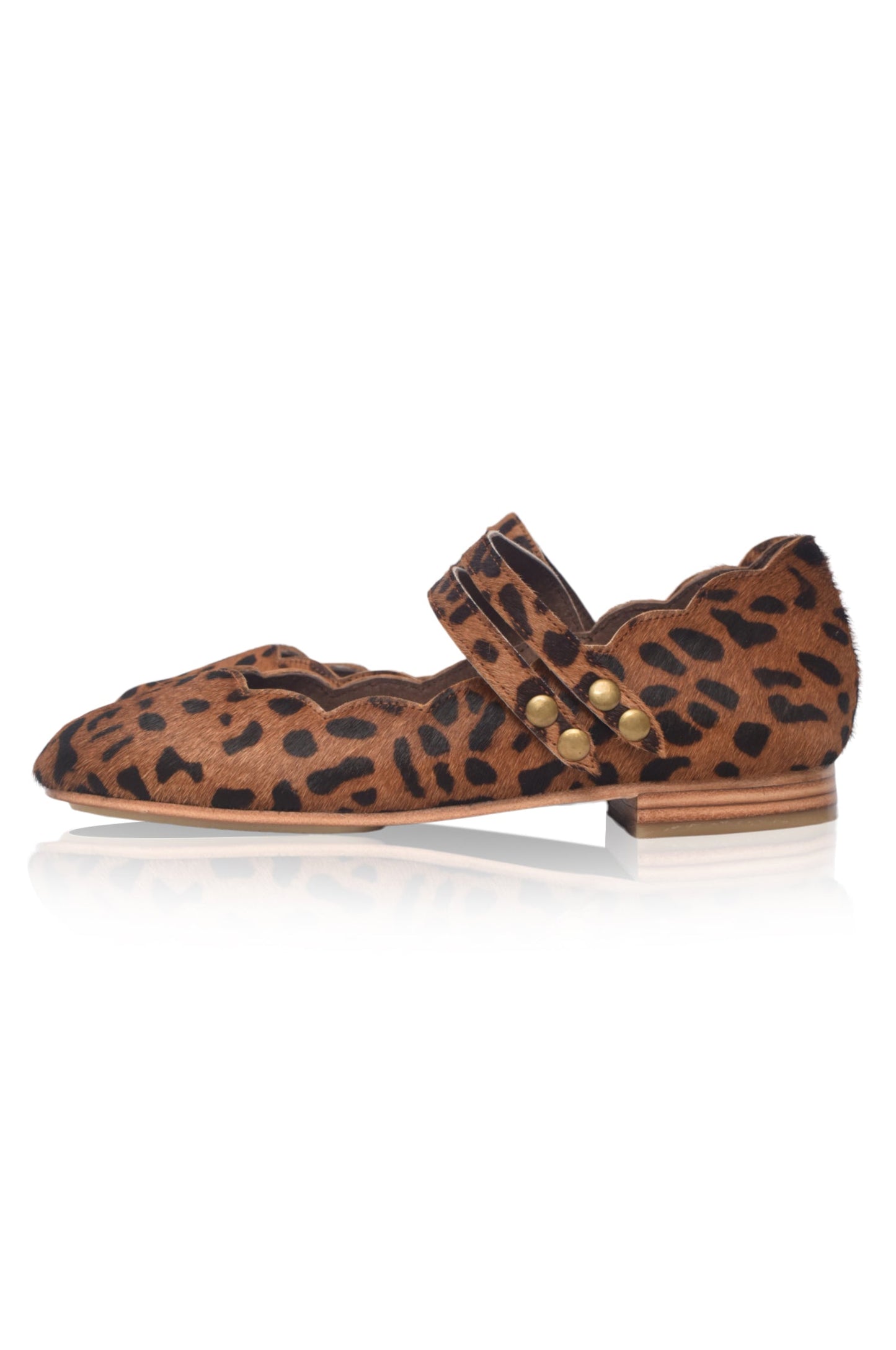 Leopard print flat shoe with gold buckle on a white background
