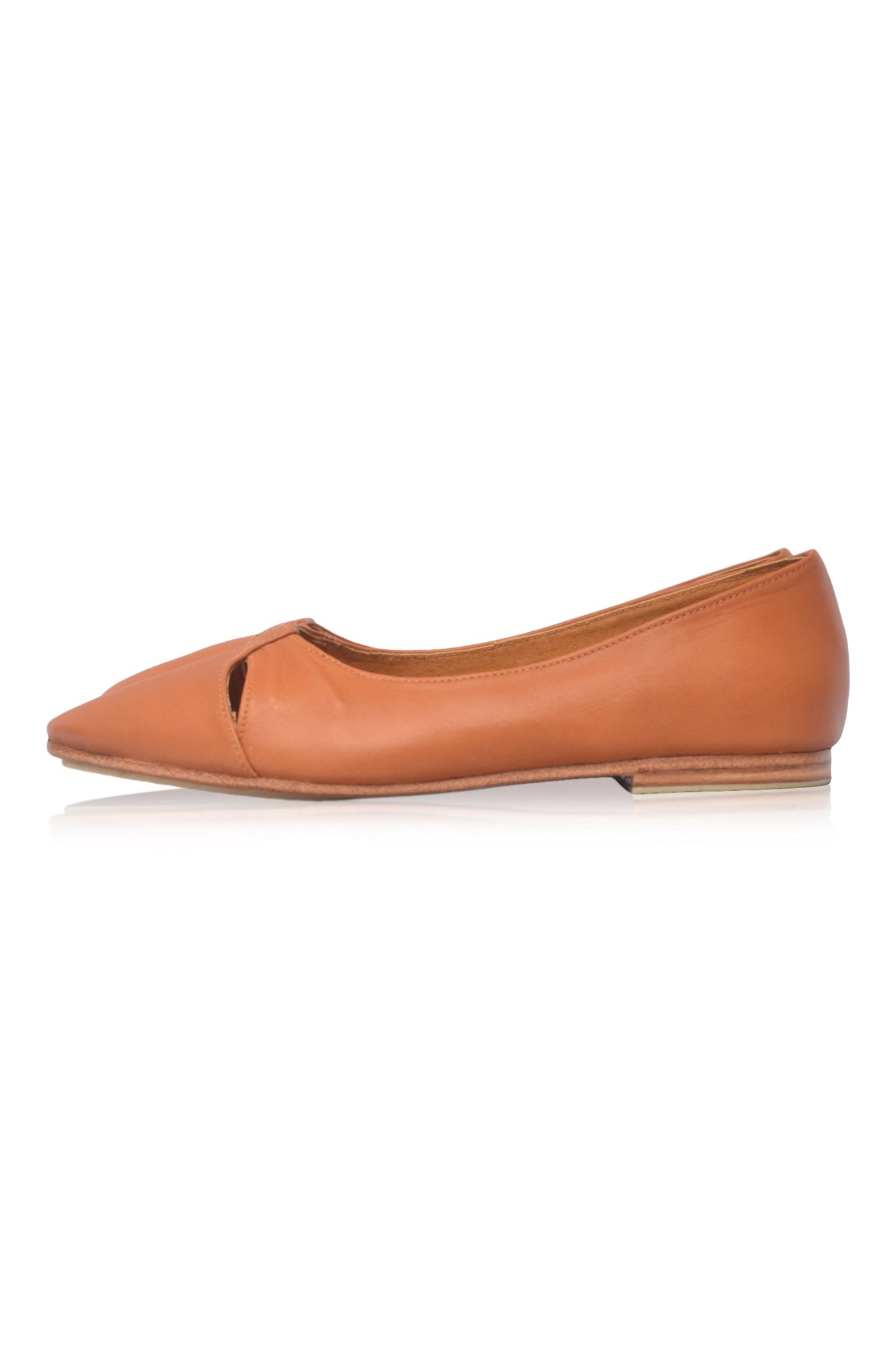 Siren Pointy Toe Ballet Flats